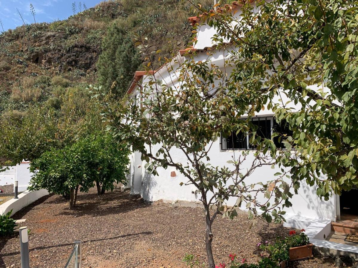 Casa Rural La Yedra San Mateo Arbejales Exterior photo